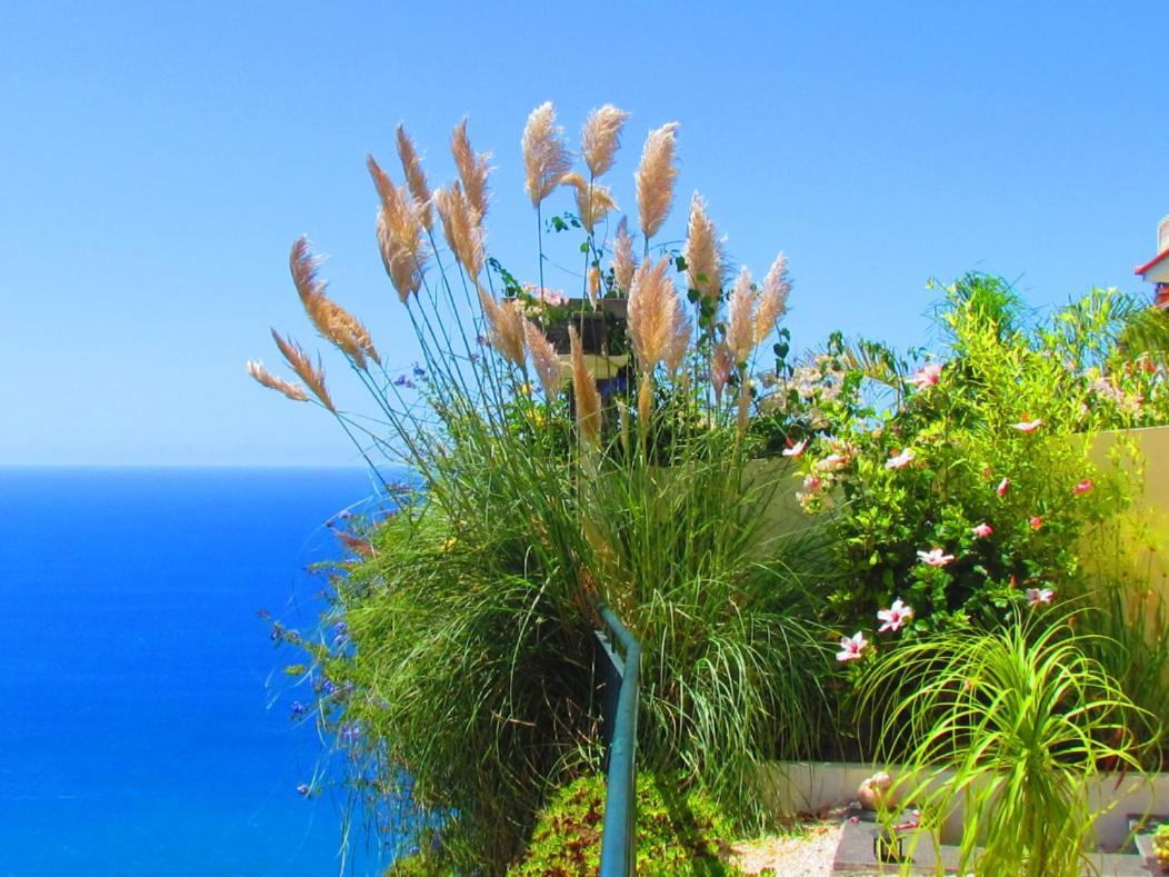 Casa Serena Apartments Arco da Calheta  Luaran gambar